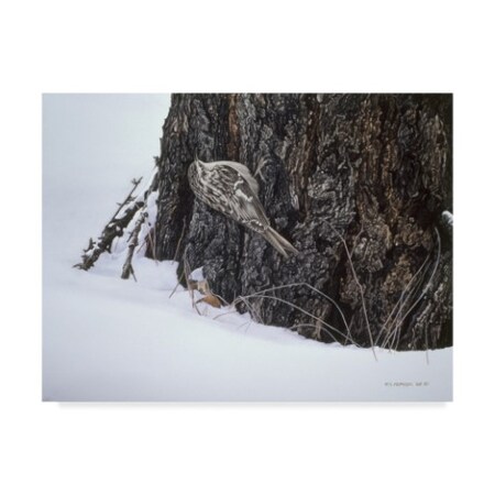 Trademark Fine Art Ron Parker 'Brown Creeper' Canvas Art, 24x32 ALI32500-C2432GG